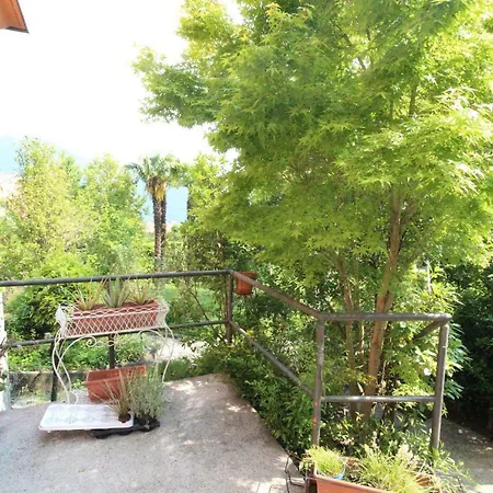 Botanic Garden *